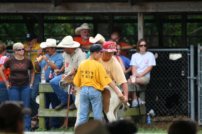 ponypenning08_218.JPG