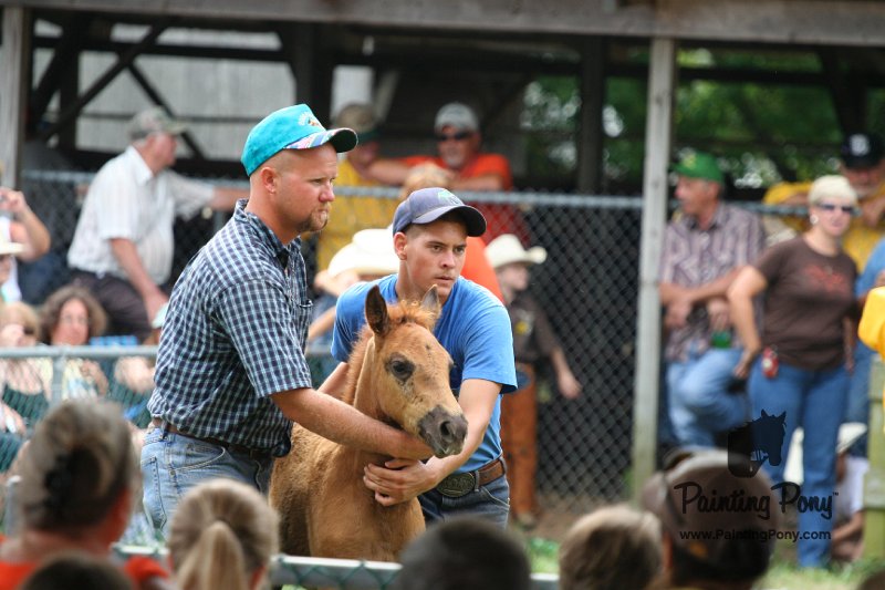ponypenning08_219.JPG