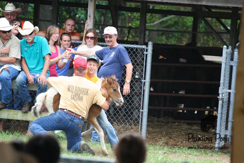 ponypenning08_223.JPG