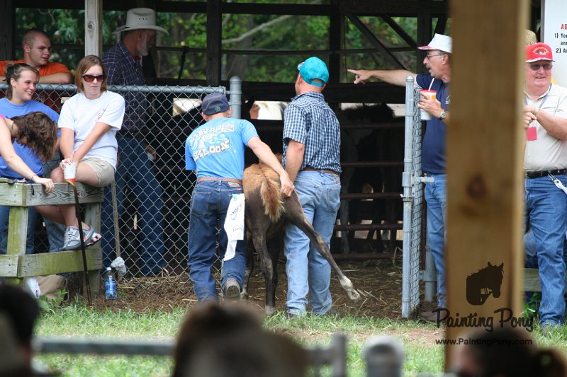 ponypenning08_227.JPG