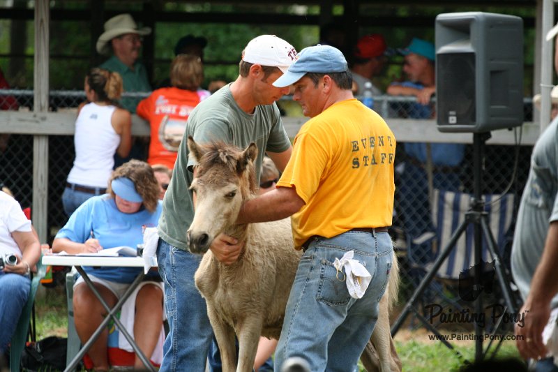 ponypenning08_230.JPG