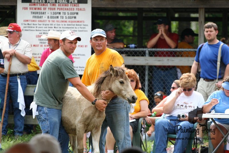 ponypenning08_232.JPG