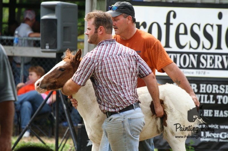 ponypenning08_233.JPG