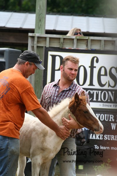 ponypenning08_235.JPG
