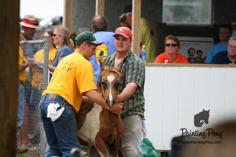ponypenning08_237.JPG