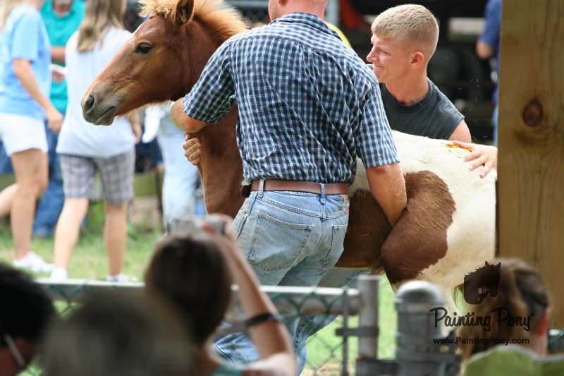 ponypenning08_245.JPG