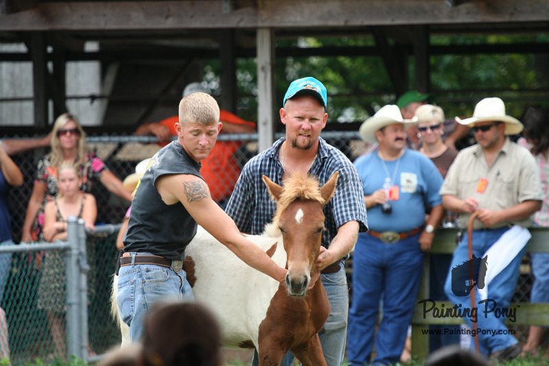 ponypenning08_246.JPG