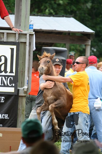 ponypenning08_247.JPG