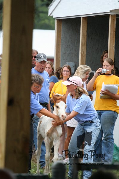 ponypenning08_249.JPG