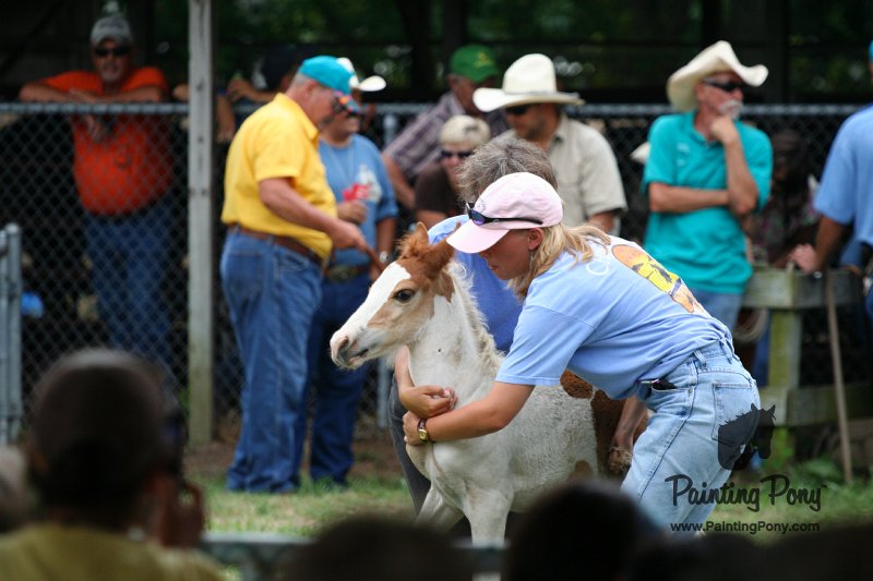 ponypenning08_251.JPG