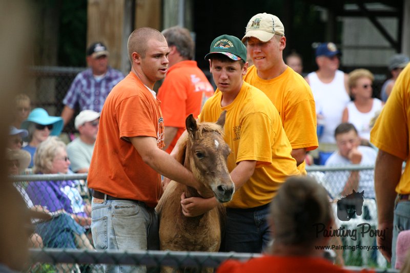 ponypenning08_253.JPG