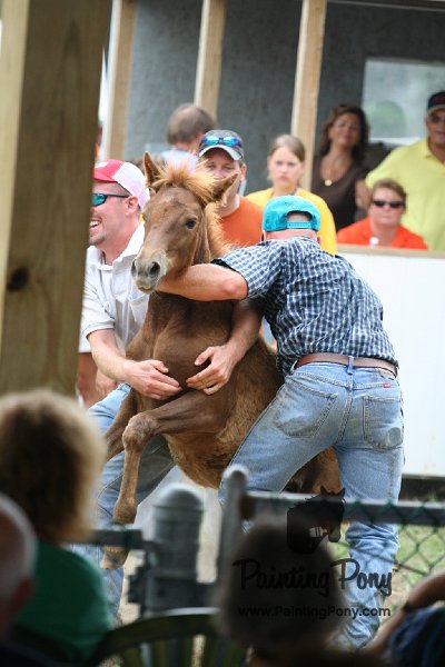 ponypenning08_255.JPG