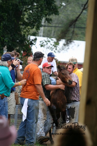 ponypenning08_256.JPG