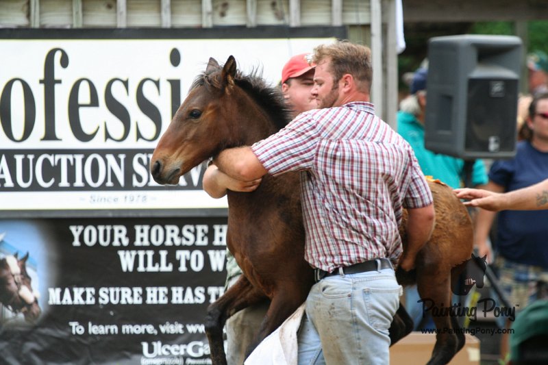 ponypenning08_259.JPG