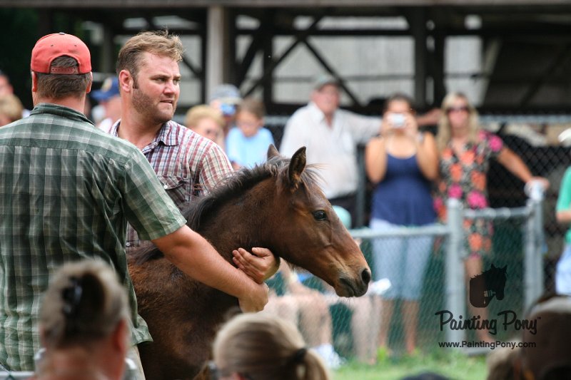 ponypenning08_260.JPG