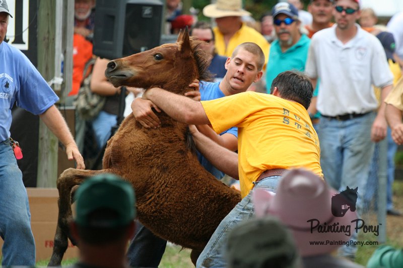 ponypenning08_265.JPG