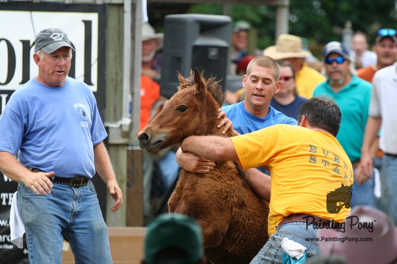 ponypenning08_266.JPG