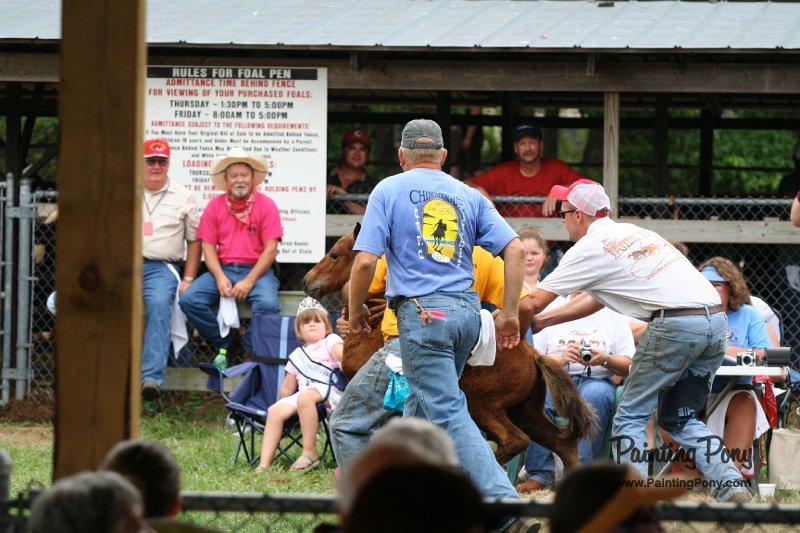 ponypenning08_268.JPG