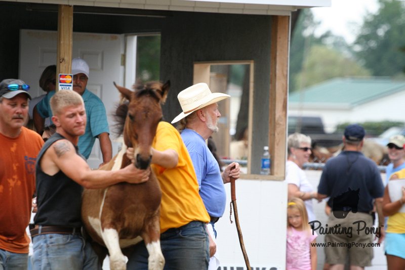 ponypenning08_270.JPG