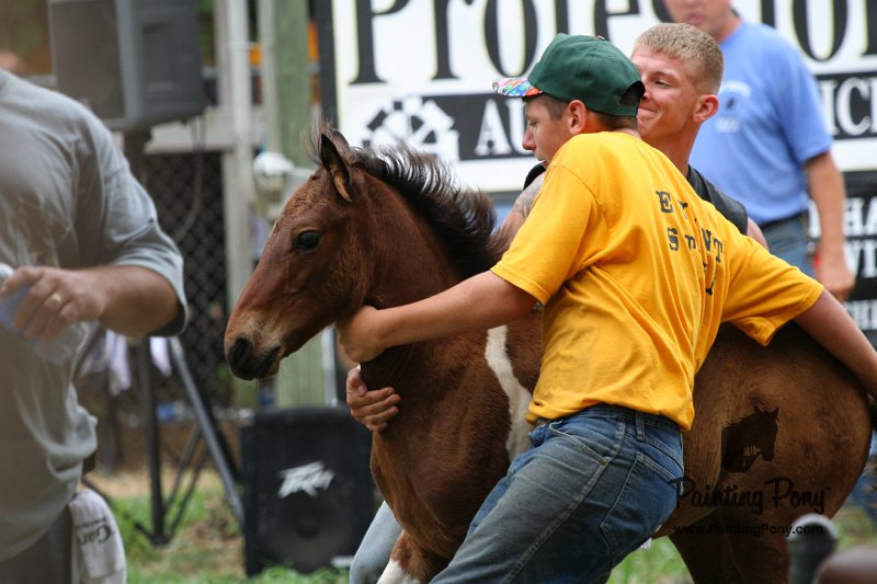 ponypenning08_271.JPG