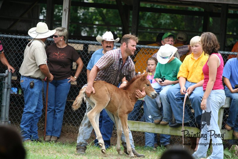 ponypenning08_280.JPG
