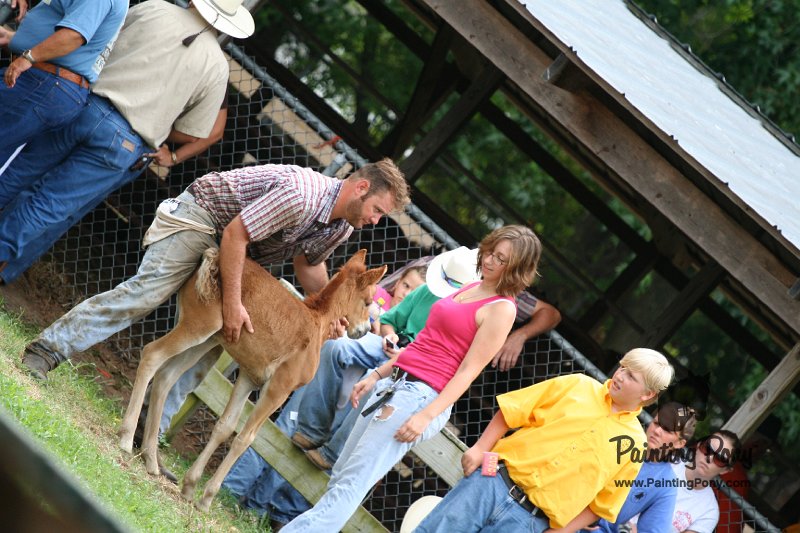 ponypenning08_282.JPG