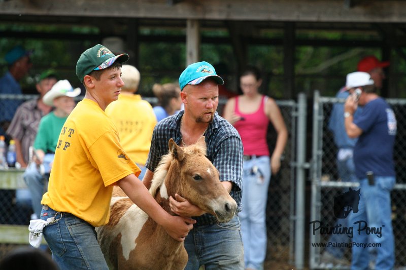 ponypenning08_283.JPG
