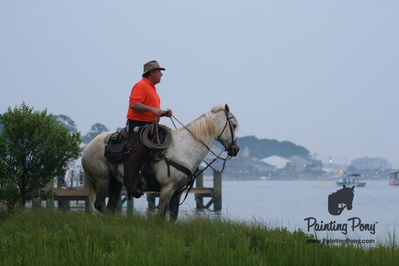 ponypenning08_5.JPG