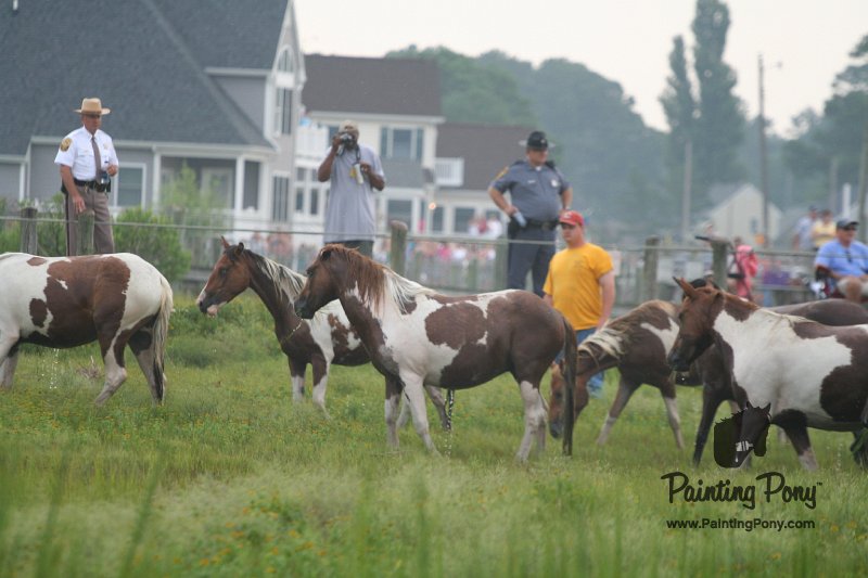 ponypenning08_89.JPG