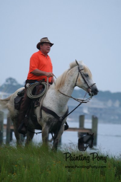 ponypenning08_9.JPG