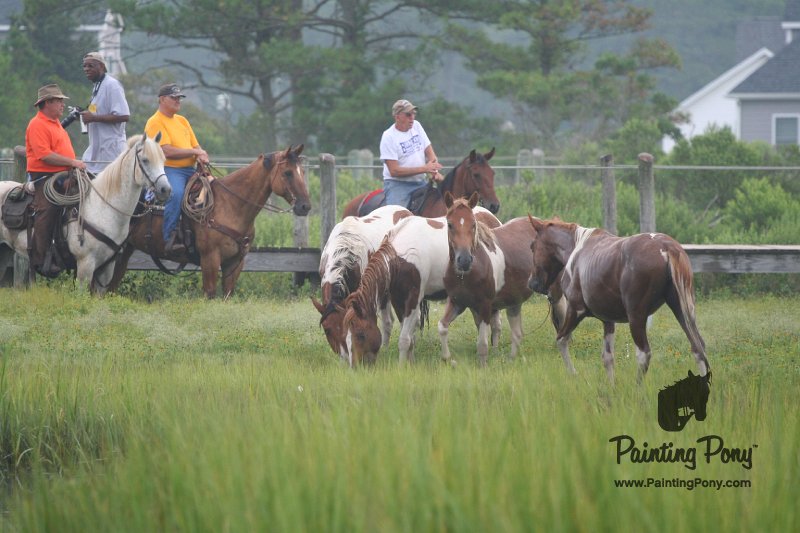 ponypenning08_93.JPG
