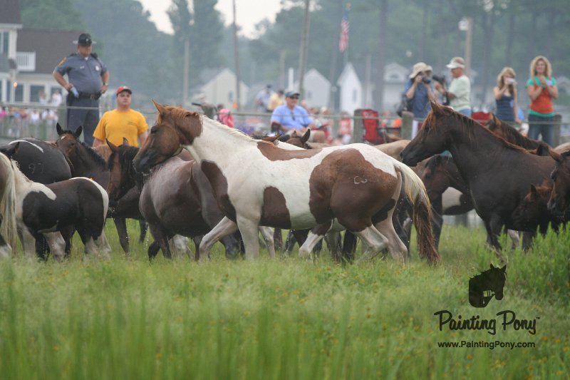 ponypenning08_94.JPG