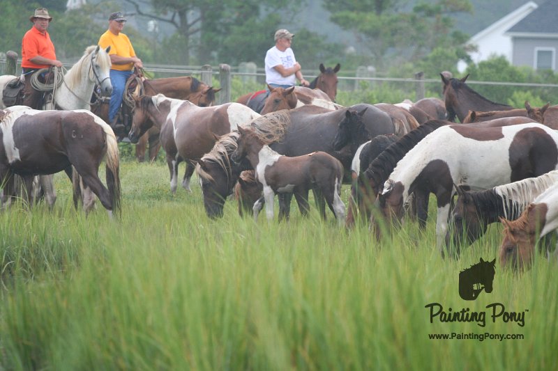 ponypenning08_95.JPG