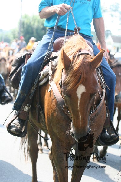 072909_218.JPG