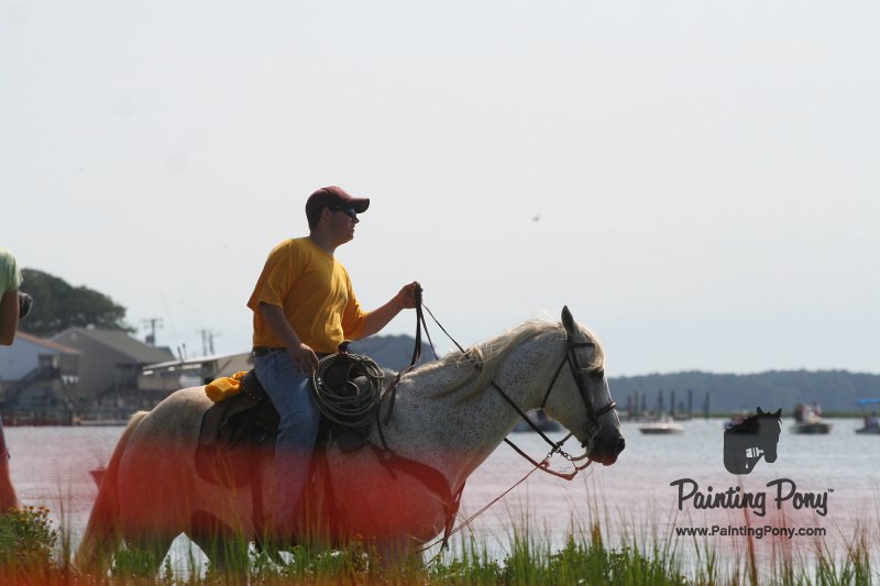 ponypenning_072710_055.JPG