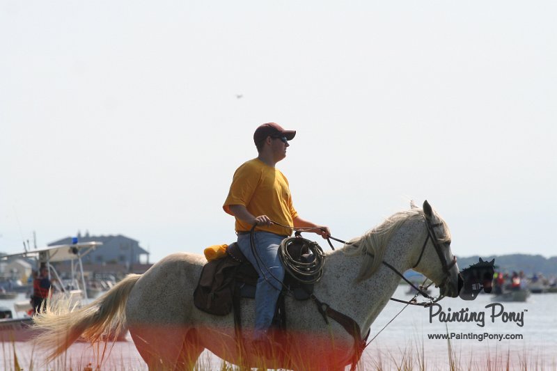 ponypenning_072710_056.JPG