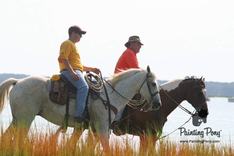ponypenning_072710_058.JPG