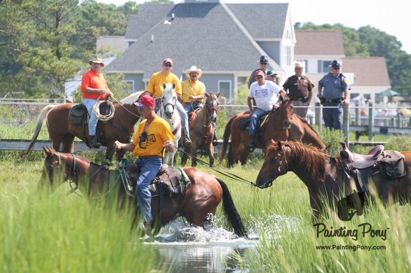 ponypenning_072710_063.JPG