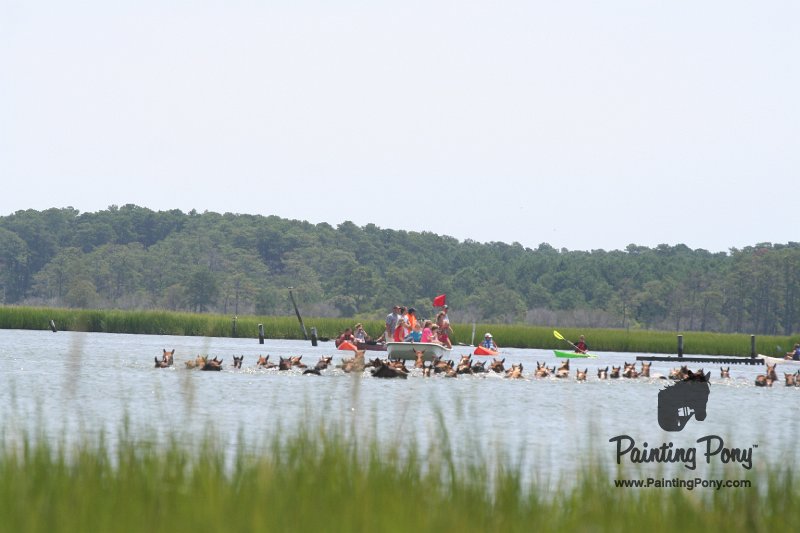 ponypenning_072810_086.JPG