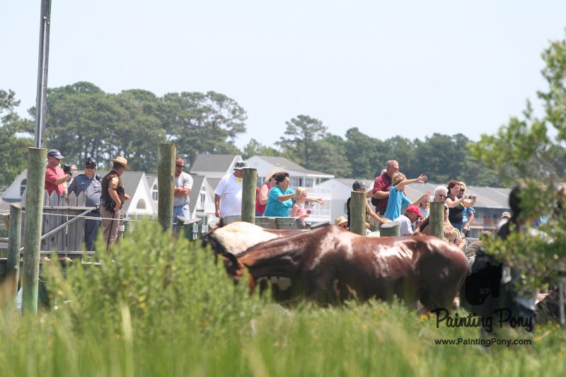 ponypenning_072810_110.JPG