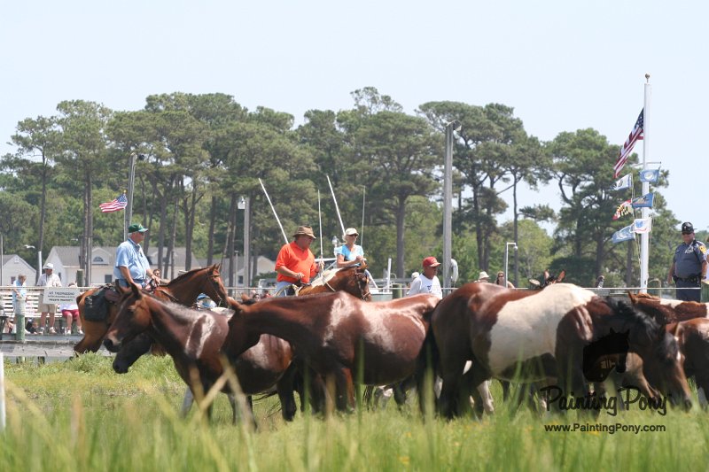 ponypenning_072810_114.JPG