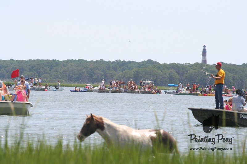 ponypenning_072810_115.JPG