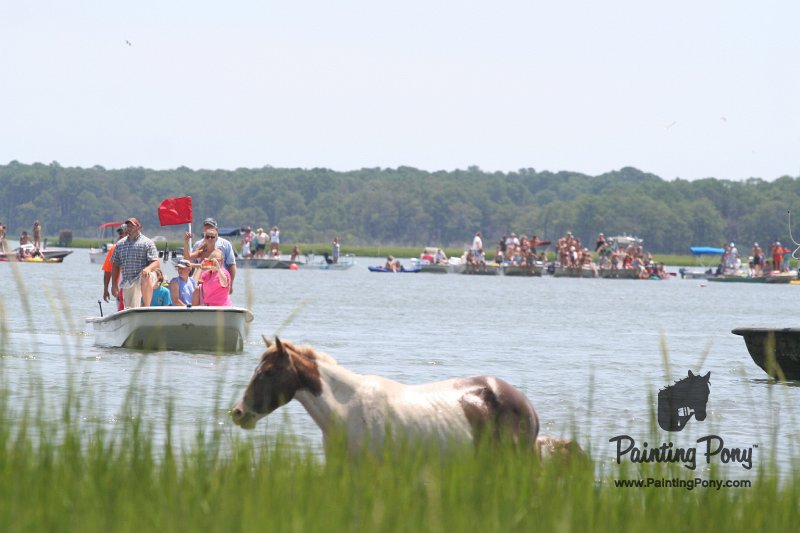 ponypenning_072810_116.JPG