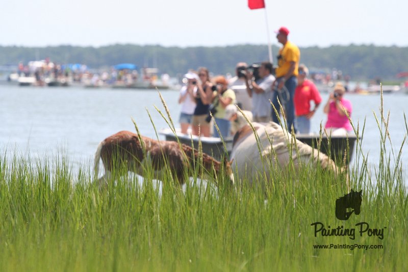 ponypenning_072810_121.JPG