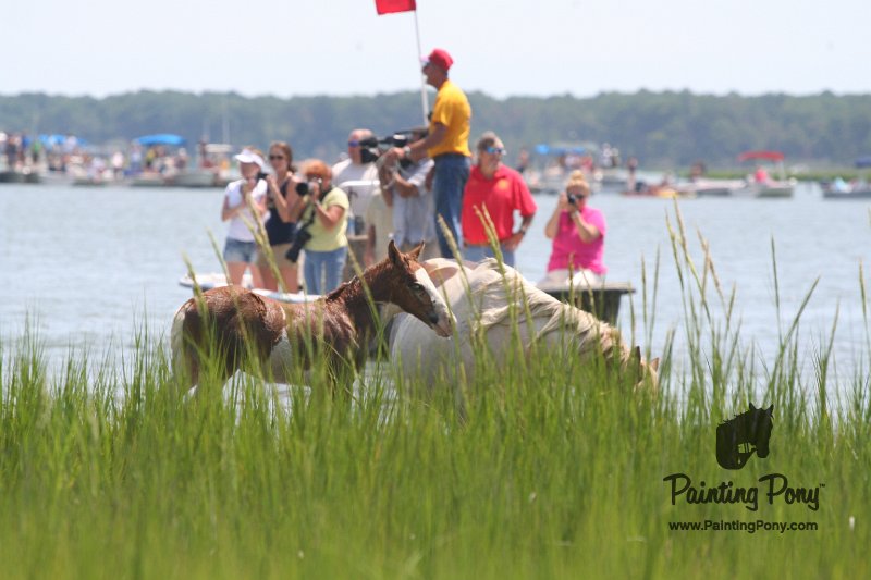 ponypenning_072810_122.JPG