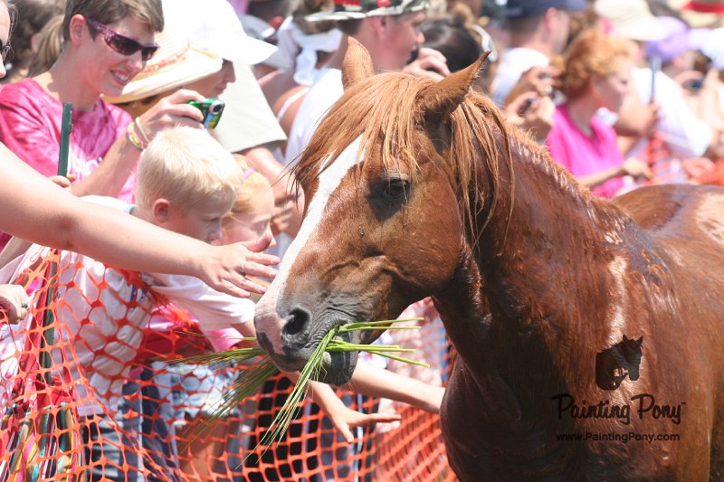 ponypenning_072810_145.JPG