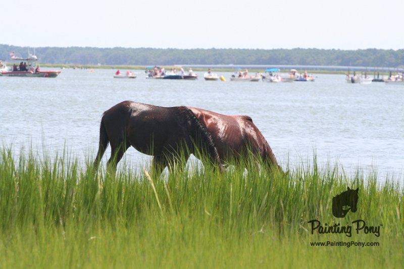 ponypenning_072810_154.JPG