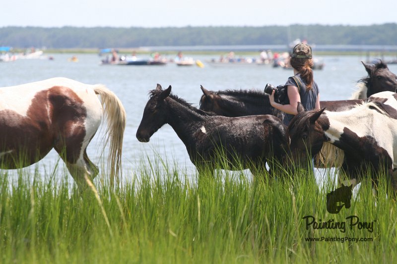 ponypenning_072810_163.JPG