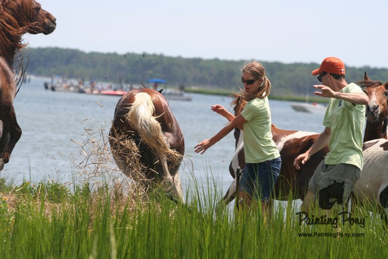 ponypenning_072810_178.JPG