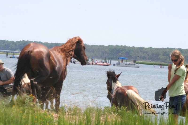 ponypenning_072810_179.JPG